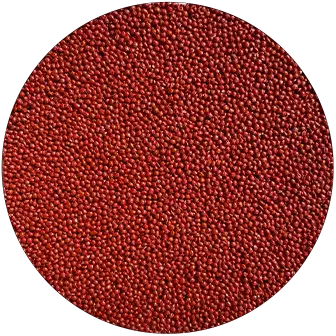 AquaFlex brick red commercial pool deck resurfacing color swatch