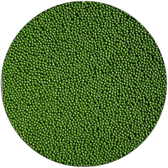 AquaFlex moss green commercial pool deck resurfacing color swatch