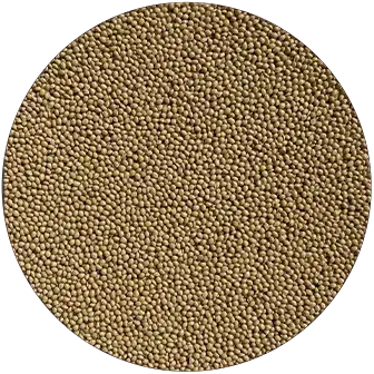 AquaFlex tan slip-resistant commercial pool deck resurfacing color swatch