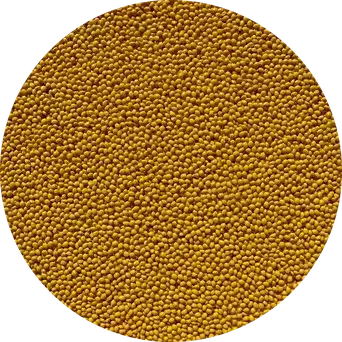AquaFlex yellow slip-resistant commercial pool deck resurfacing color swatch